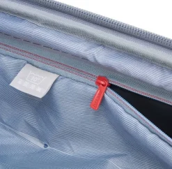 Online Delsey Paris Delsey Cruise 3.0 24inch Exp. Spinner