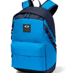 Outlet Oakley Holbrook 20L Backpack