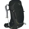 Online Osprey Packs Osprey Stratos 36 M/L Pack