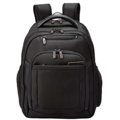 Fashion Samsonite Pro 4 DLX Standard Backpack PFT Black