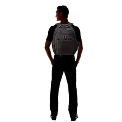 Fashion Samsonite Pro 4 DLX Standard Backpack PFT Black